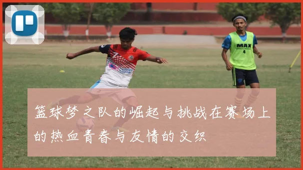 篮球梦之队的崛起与挑战在赛场上的热血青春与友情的交织