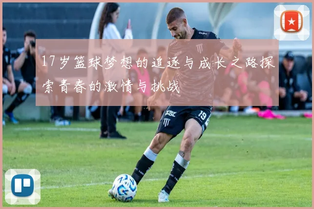 17岁篮球梦想的追逐与成长之路探索青春的激情与挑战