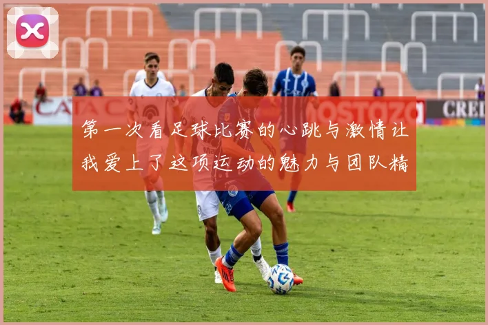 第一次看足球比赛的心跳与激情让我爱上了这项运动的魅力与团队精神