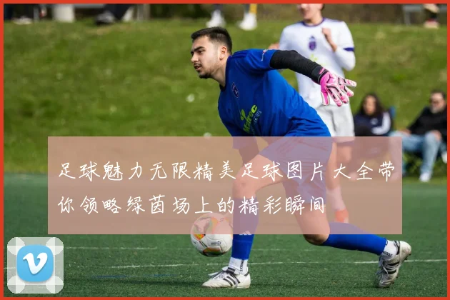 足球魅力无限精美足球图片大全带你领略绿茵场上的精彩瞬间