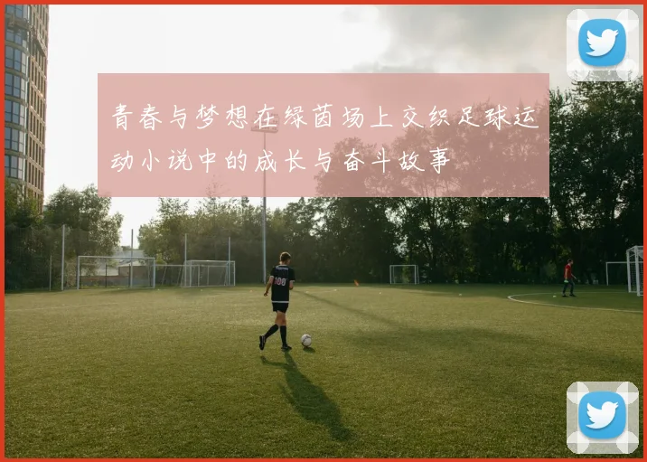 青春与梦想在绿茵场上交织足球运动小说中的成长与奋斗故事