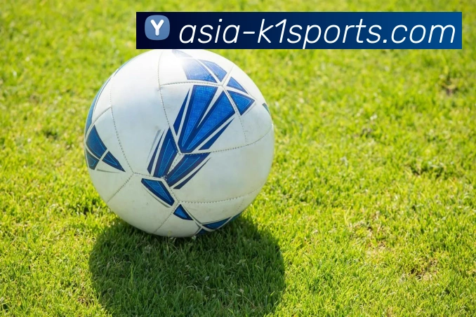 K1体育中文首页平台生态图